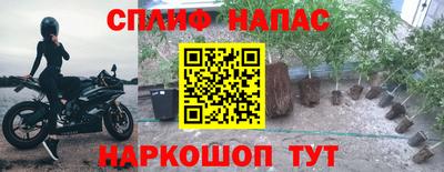 амфетамин Новозыбков