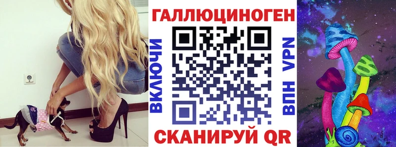 купить наркотик  Электрогорск  Галлюциногенные грибы Psilocybe 