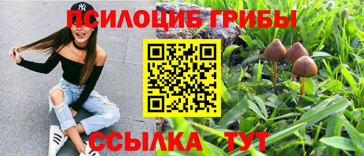Псилоцибиновые грибы прущие грибы Электрогорск