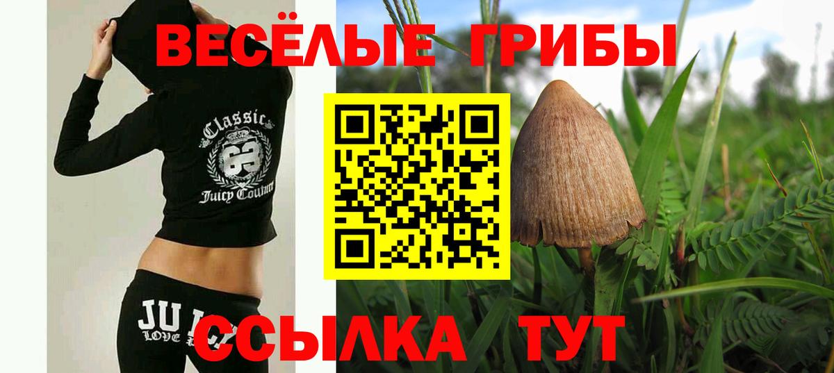 Псилоцибиновые грибы Psilocybine cubensis  Вход с VPN  Электрогорск 